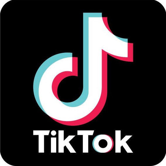 TikTok Logo